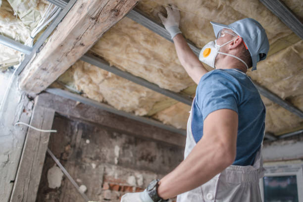 Best Soundproof Insulation Installation  in Ottawa Hills, OH